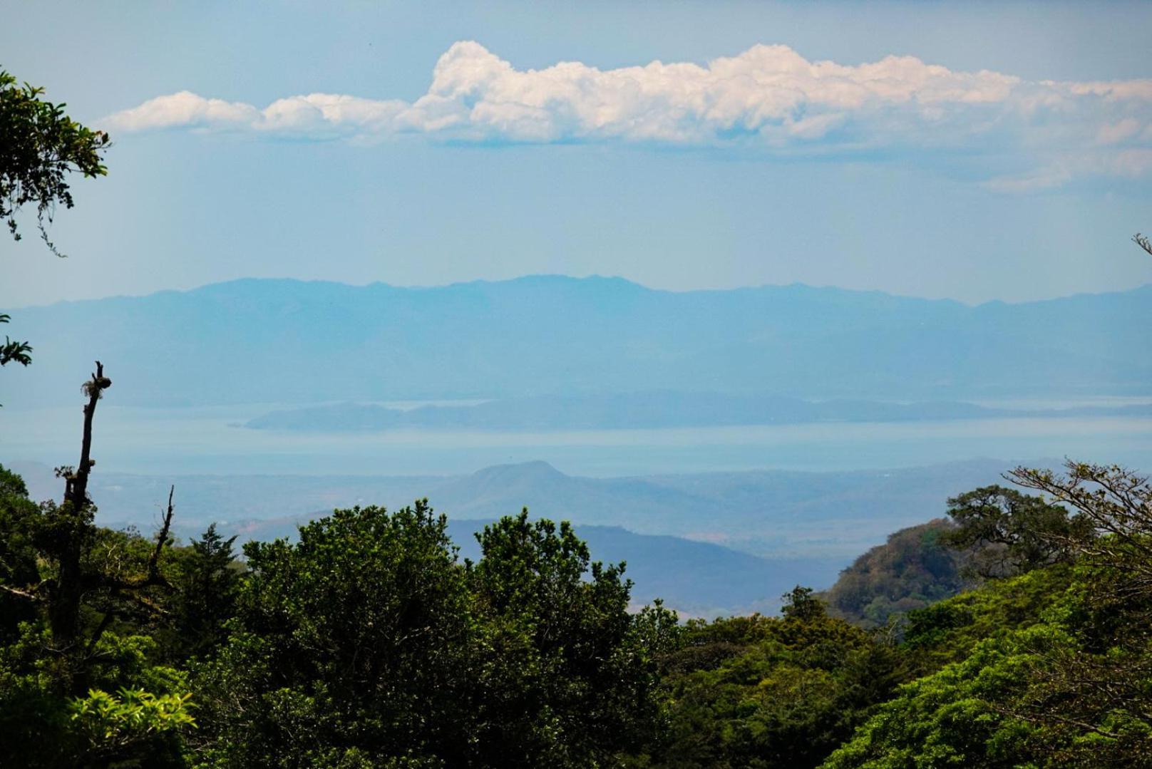Cabana Indira Monteverde Exteriér fotografie