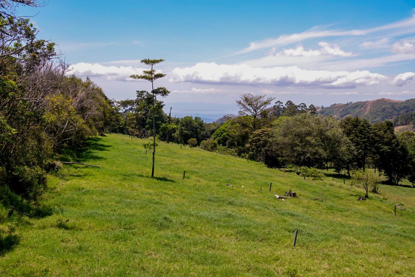 Cabana Indira Monteverde Exteriér fotografie