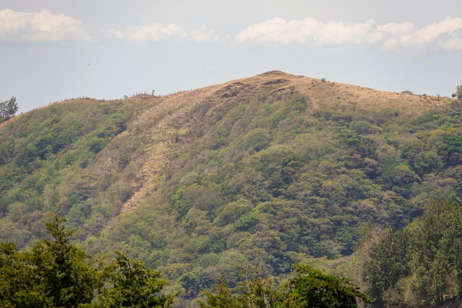 Cabana Indira Monteverde Exteriér fotografie